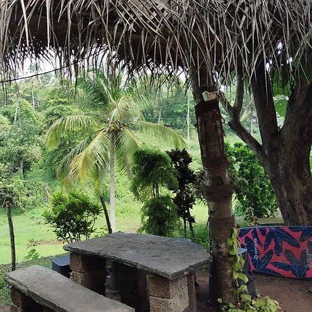 Joseph Dale Homestay Varkala Ngoại thất bức ảnh