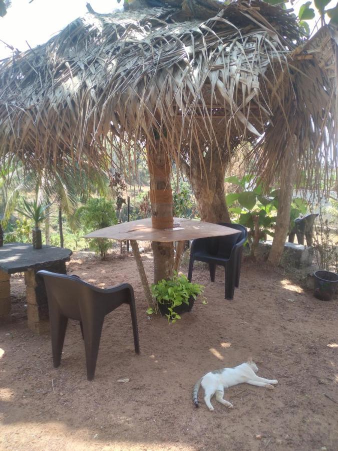 Joseph Dale Homestay Varkala Ngoại thất bức ảnh