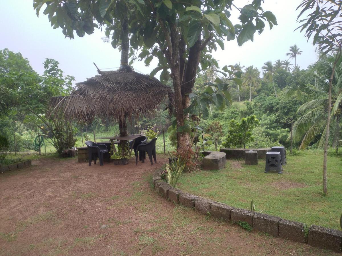 Joseph Dale Homestay Varkala Ngoại thất bức ảnh